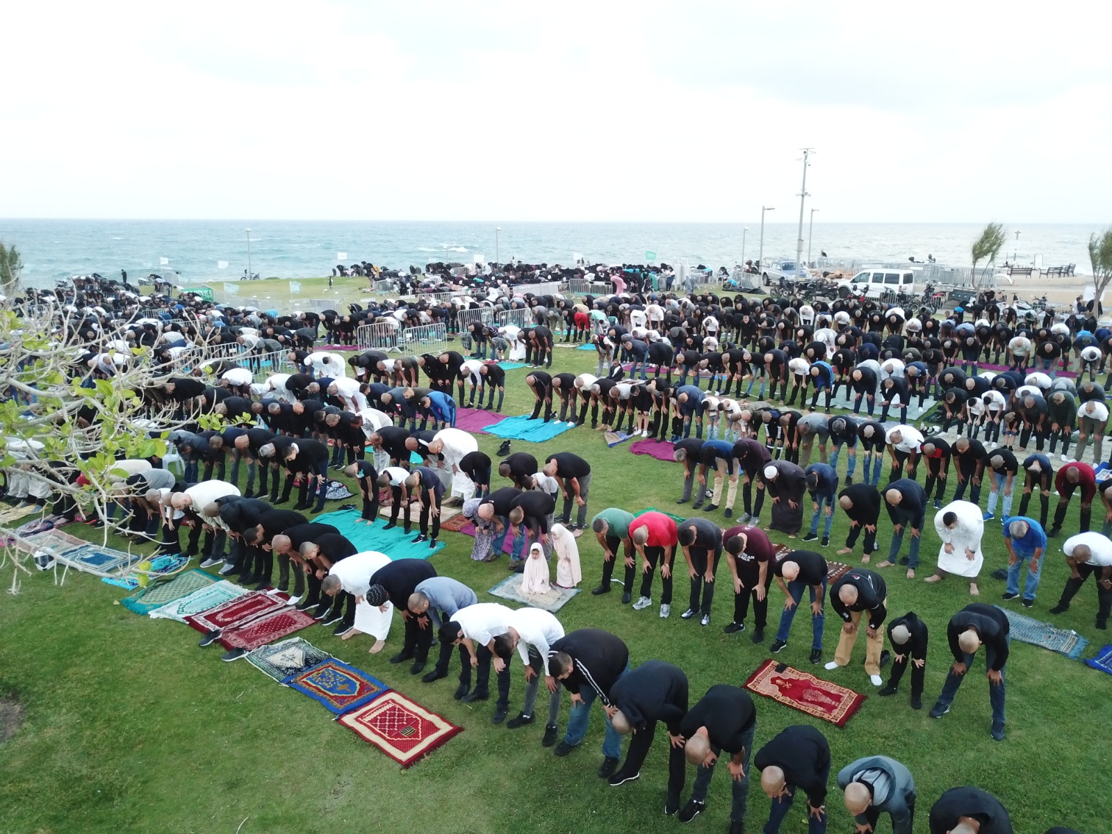 WhatsApp Image 2020-05-24 at 7.56.13 AM (3).jpeg.jpeg